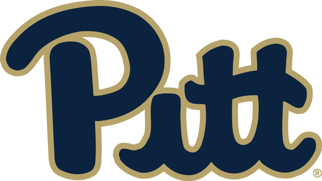 Pittsburgh Panthers 2016-2018 Primary Logo DIY iron on transfer (heat transfer)